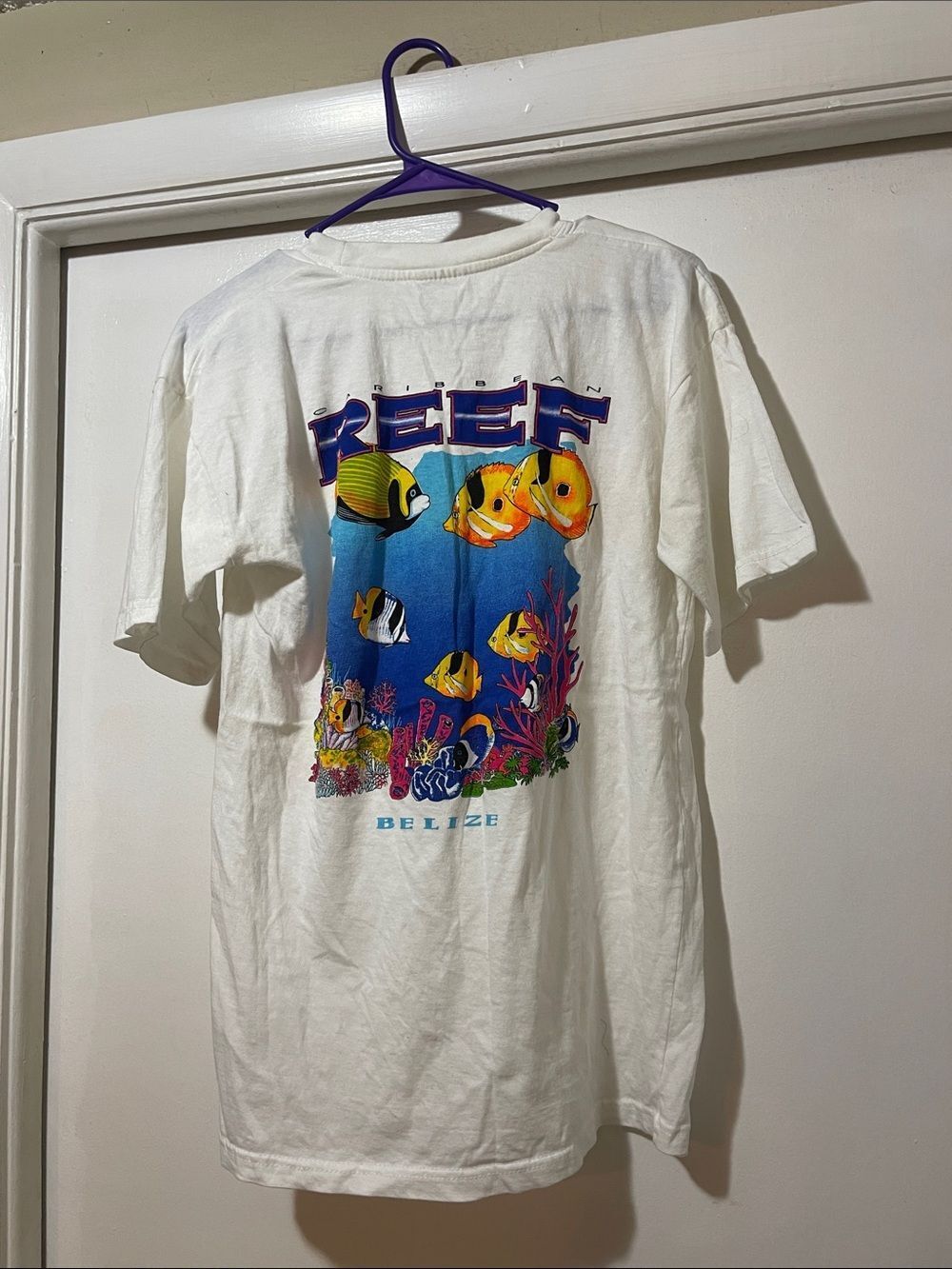 Belize Caribbean reef T-shirt, size large
